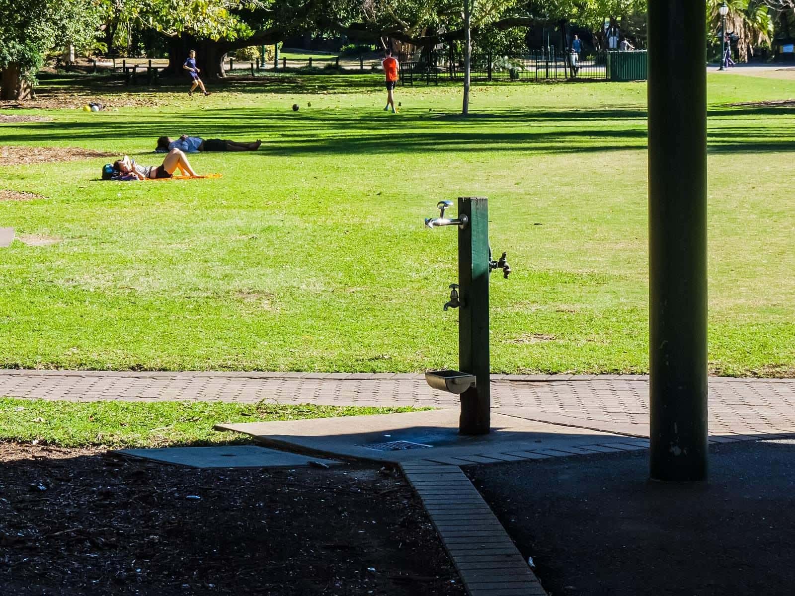 A drinking fountain with a dog bowl in Brisbane’s City Botanic Gardens